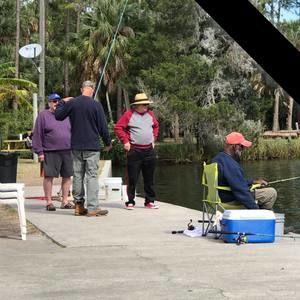 Meet your Posher, Dennis